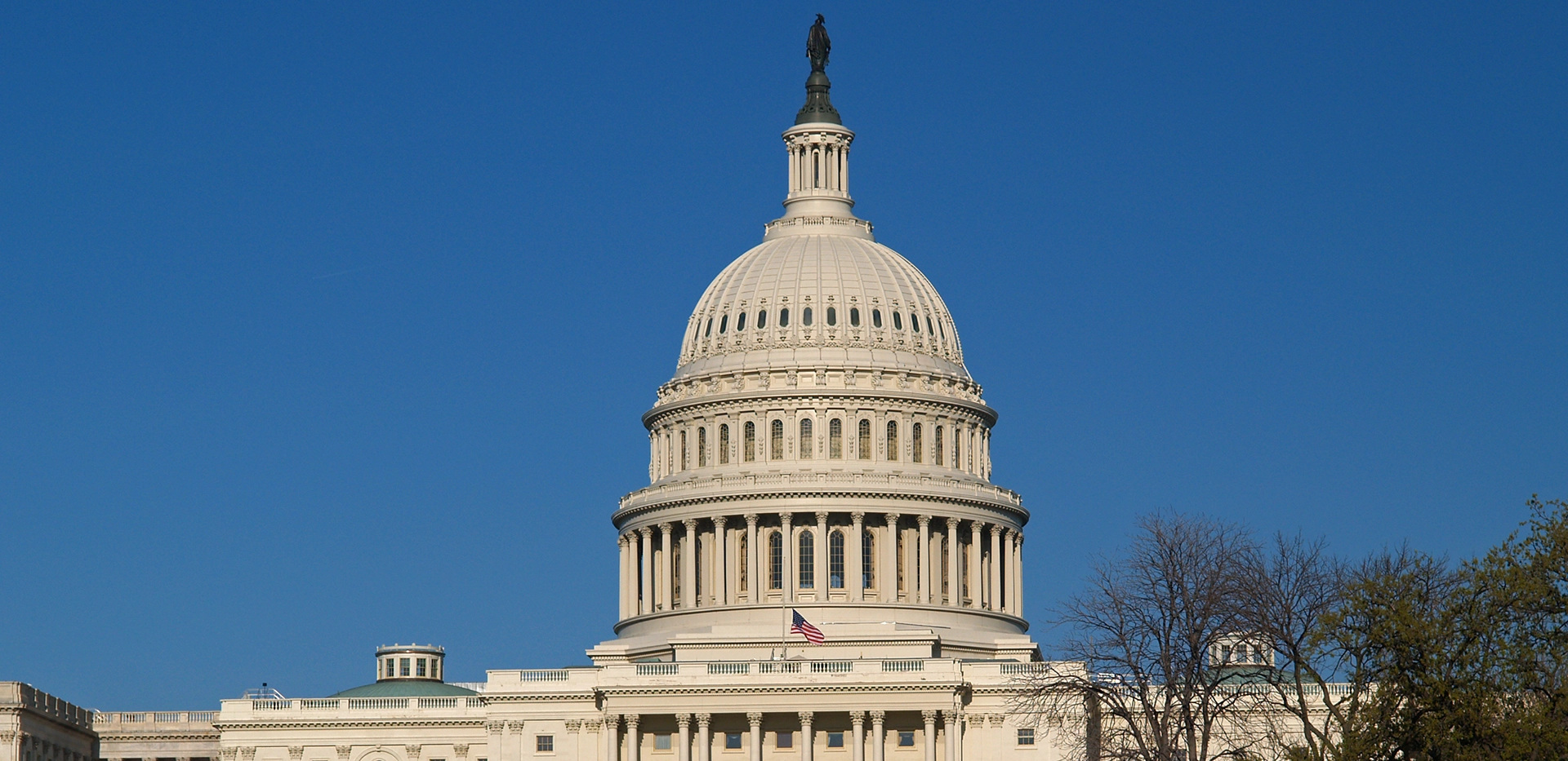 US Capitol in Washington, DC